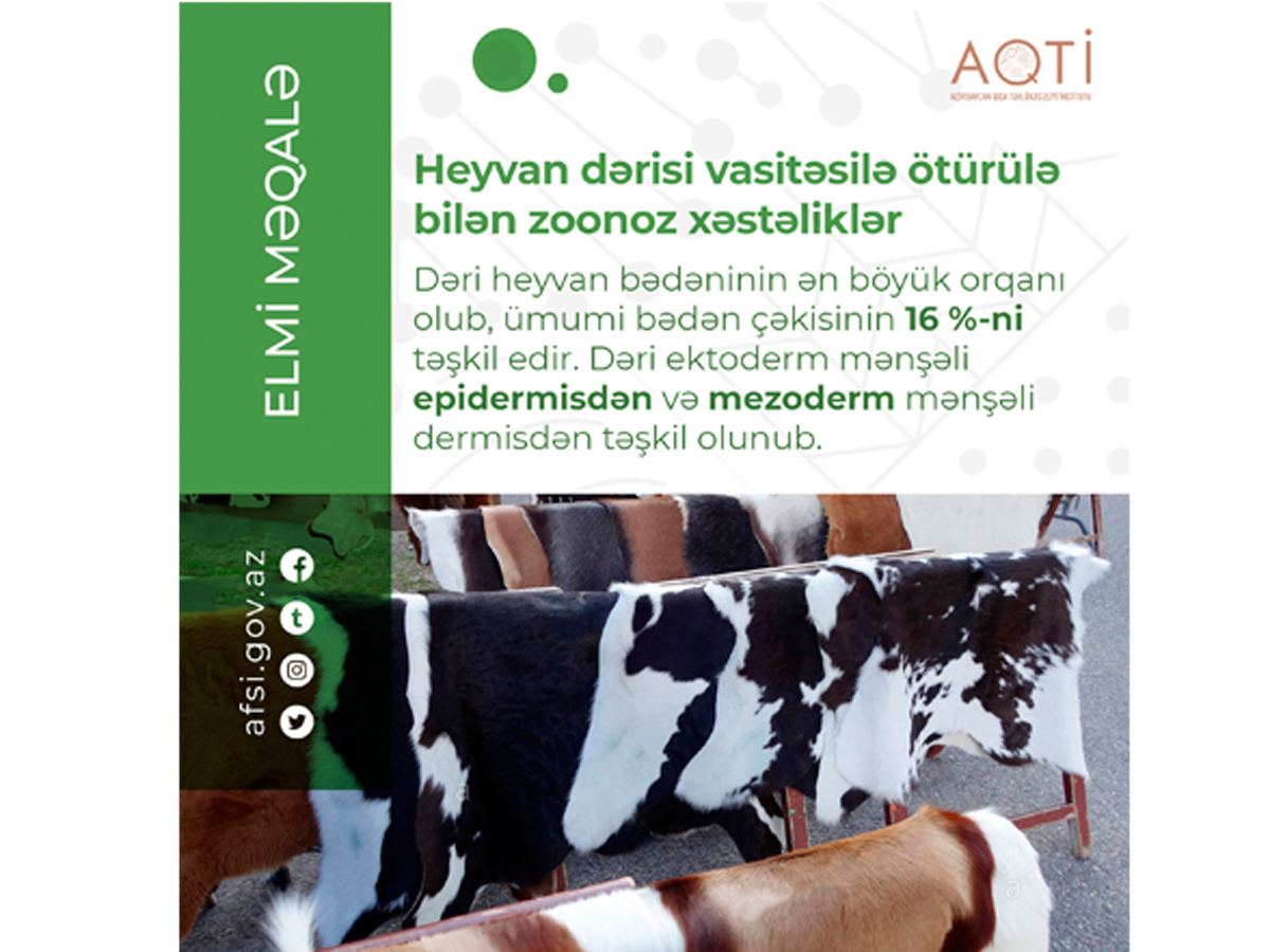 Heyvan dərisi vasitəsilə ötürülə bilən zoonoz xəstəliklər