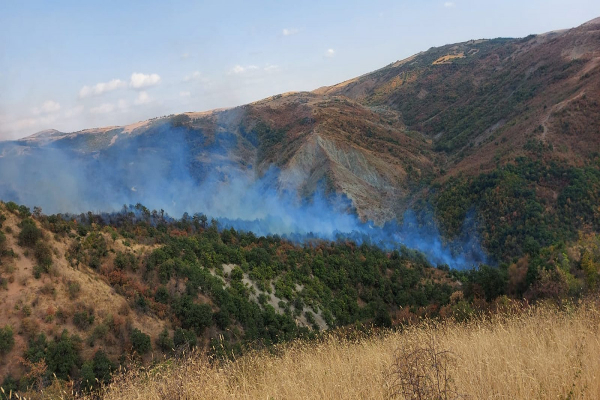 FHN İsmayıllıdakı yanğınla bağlı məlumat yaydı - YENİLƏNİB