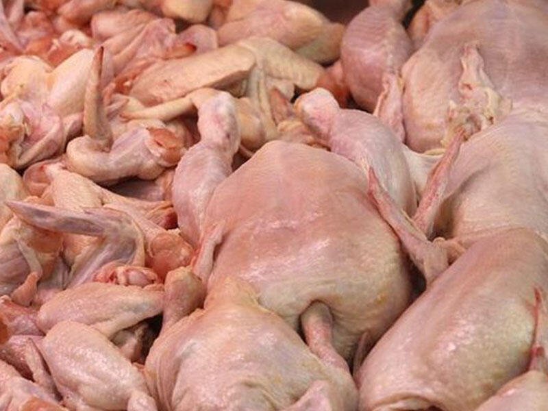 Bu ölkələrdən toyuq əti və yumurta gətirmək qadağan olundu