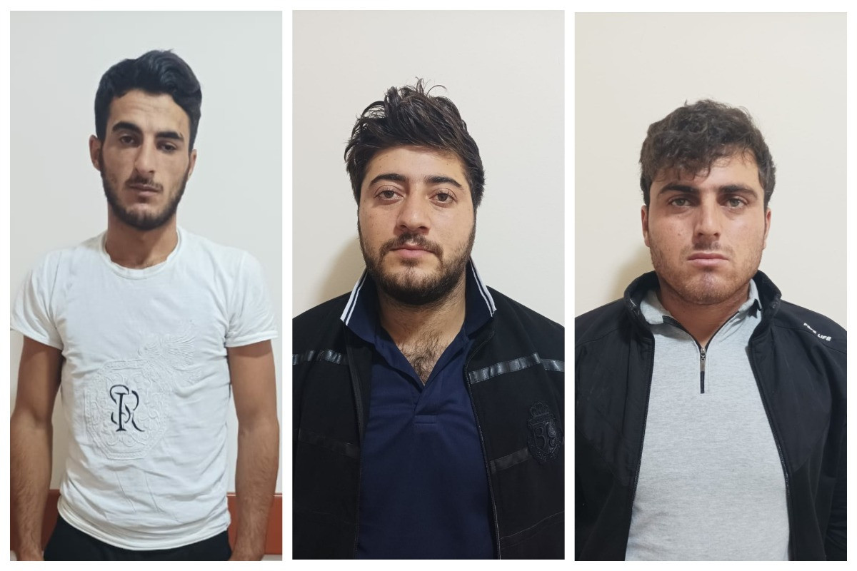 Şamaxıda 112 baş qoyunu oğurlayanlar saxlanıldı - FOTO