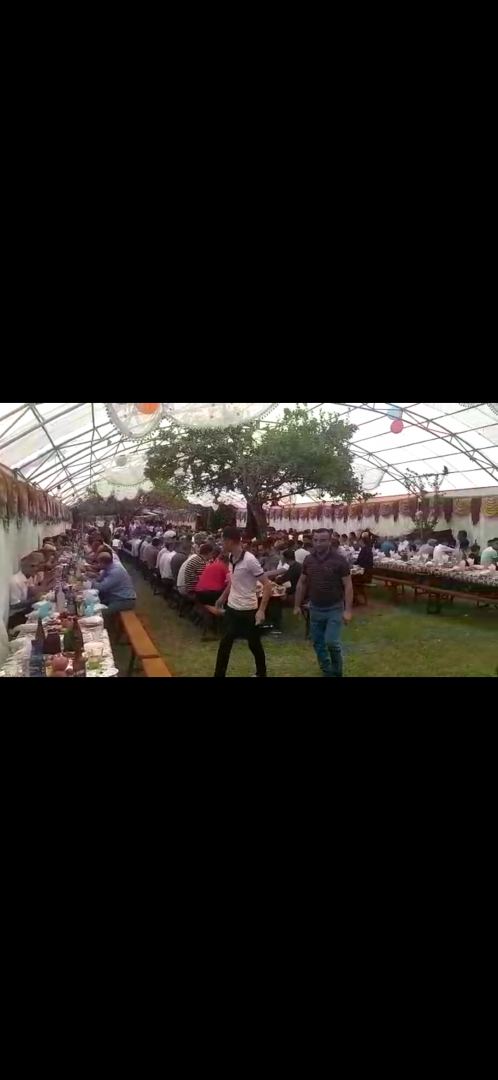 Karantini pozan toy sahibləri cərimələndi - VİDEO