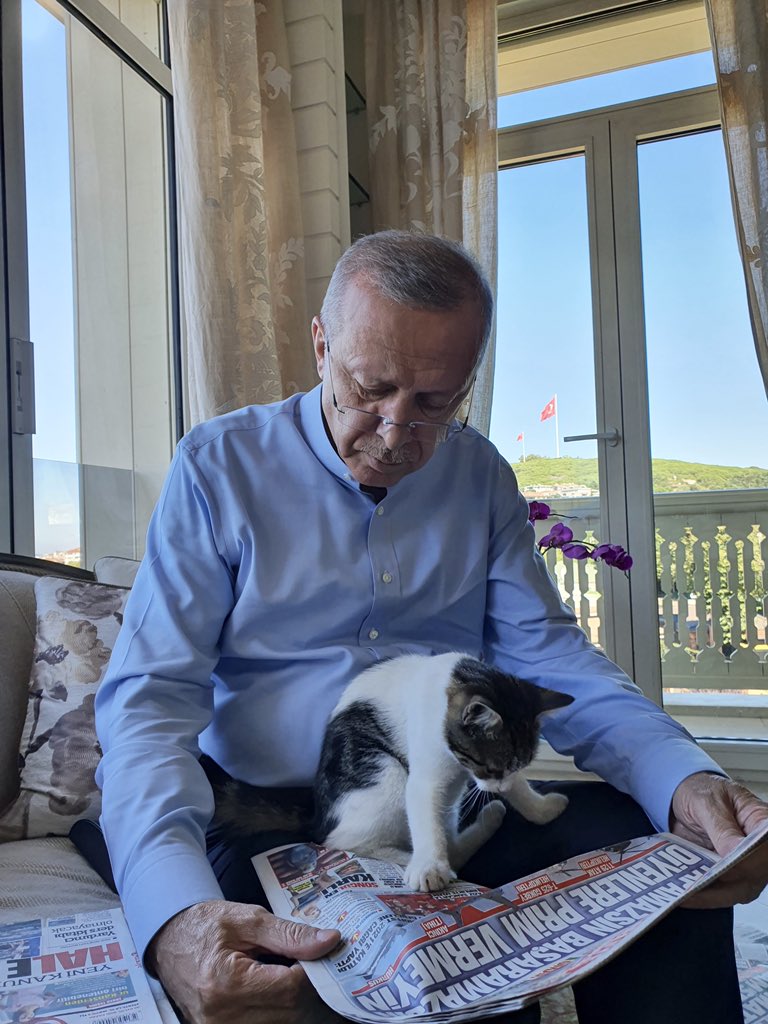 Ərdoğandan “Pıt Pıt Şəkər” paylaşımı - Foto