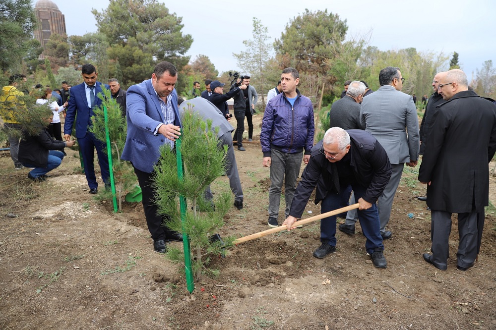 Birbank istifadəçiləri Gəncədə ağac əkdi