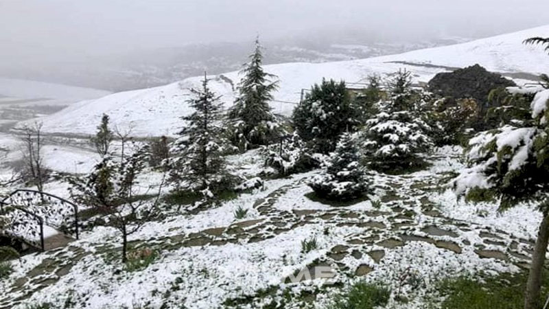 Azərbaycanın bu ərazilərinə qar yağıb - Faktiki hava