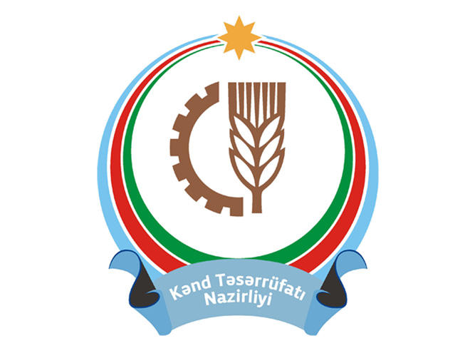 Nazirliyin işçilərinin sayı AZALDILDI