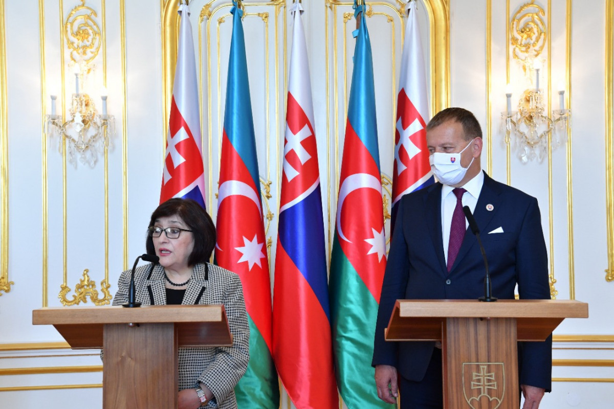 Sahibə Qafarova slovakiyalı spikerlə brifinq keçirdi