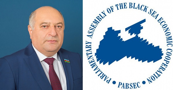 Azərbaycanlı deputata beynəlxalq təşkilatda vəzifə verildi