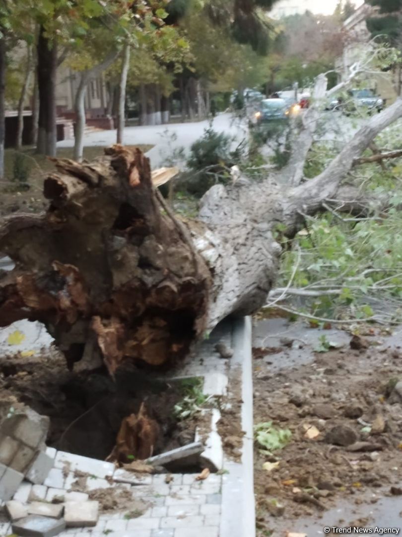 Bakıda külək yük maşınını aşırdı - FOTOLAR