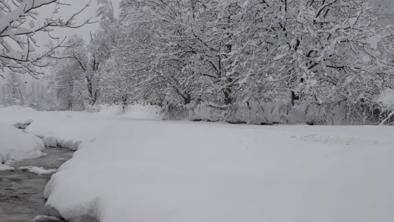 Bu günün hava PROQNOZU