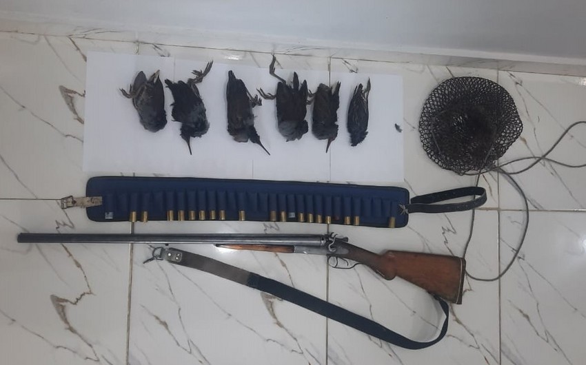 Qanunsuz ov edənlərin tüfəngləri əllərindən alındı