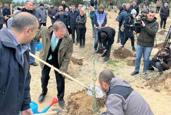 ABŞ səfirliyi azərbaycanlı əməkdaşlarının şərəfinə zeytun ağacları əkdi - FOTO