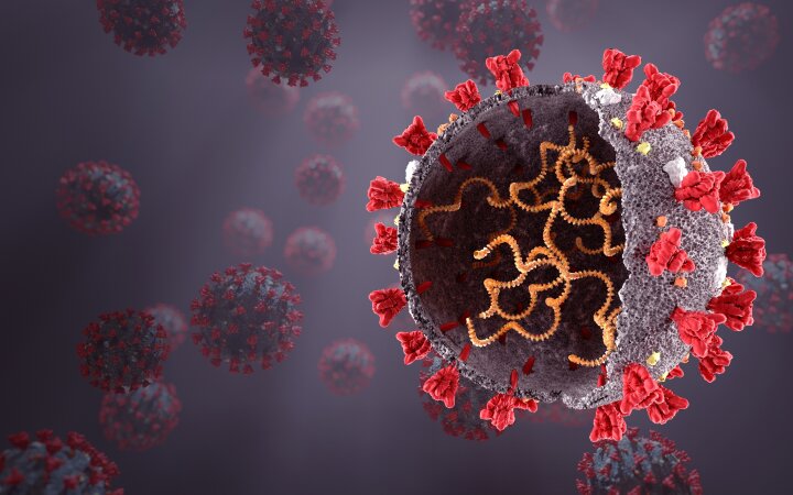 Gürcüstanda virus mənzərəsi