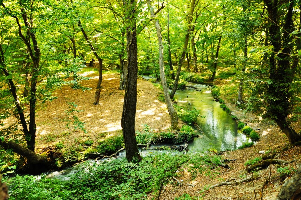 Milli parkda “açıq qapı” günü keçiriləcək
