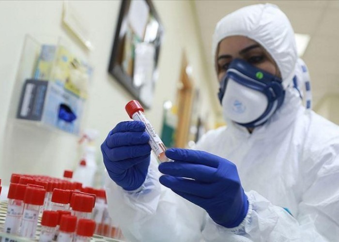 Gürcüstanda koronavirus