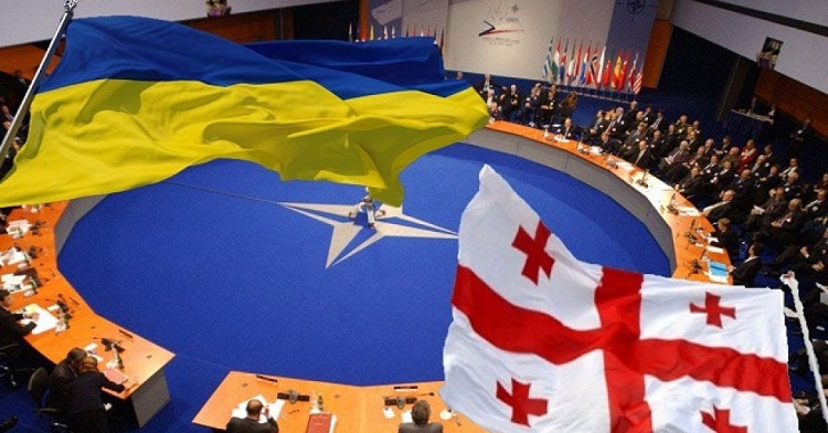Gürcüstan və Ukraynanın NATO-ya daxil olması üçün şərtlər