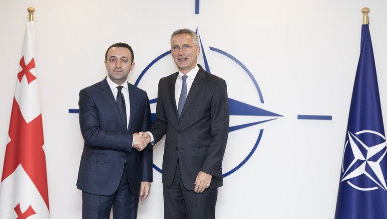 Qaribaşvili NATO rəsmisi ilə görüşəcək