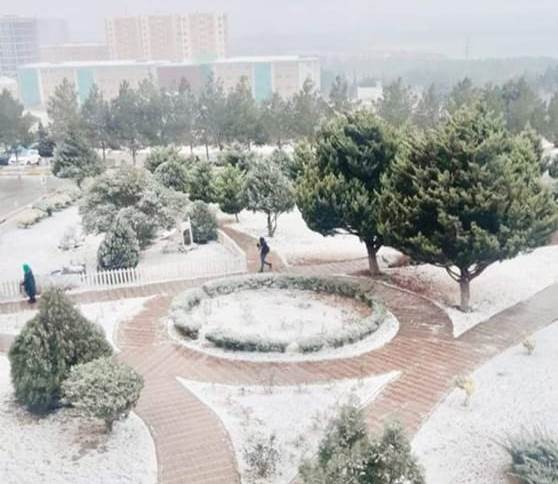 Bakıətrafı qəsəbələrə qar yağıb - FOTOLAR