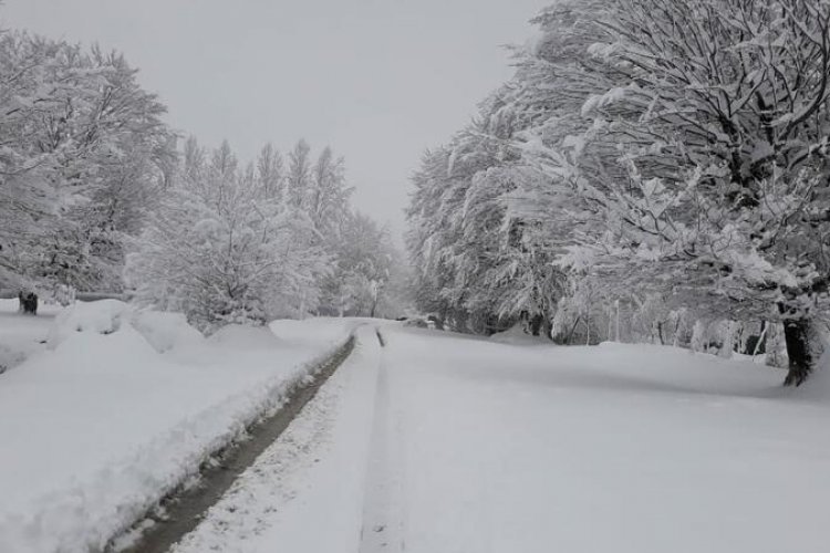 Bakıda 1, rayonlarda 17 dərəcə şaxta var - FAKTİKİ HAVA