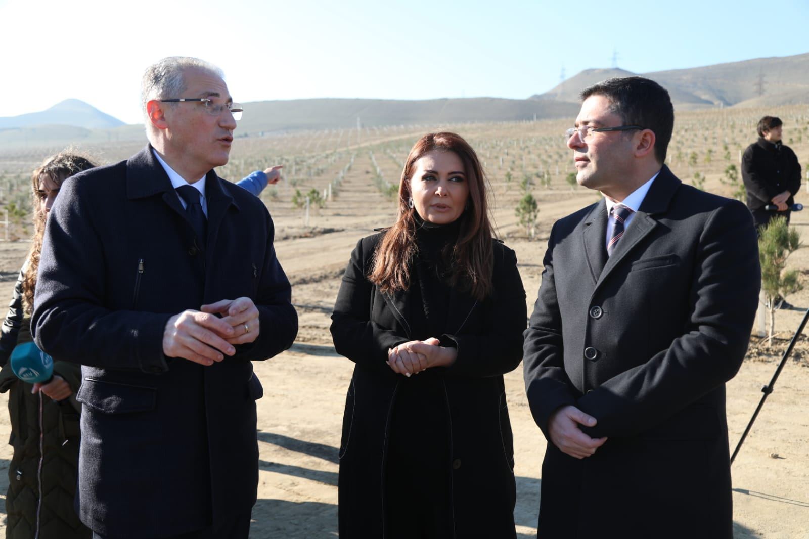 Prezidentin yubileyinə həsr olunan ağacəkmə aksiyası - FOTO