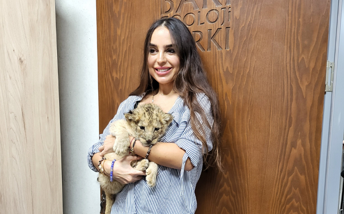 Bakı Zooparkında şir balası DOĞULDU