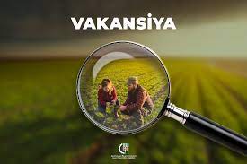 Bu nazirlikdə 308 vakant iş yeri var