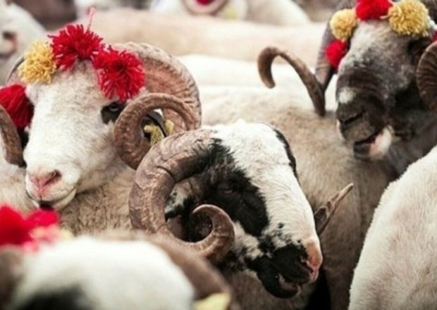 Növbəti Qurban bayramının VAXTI