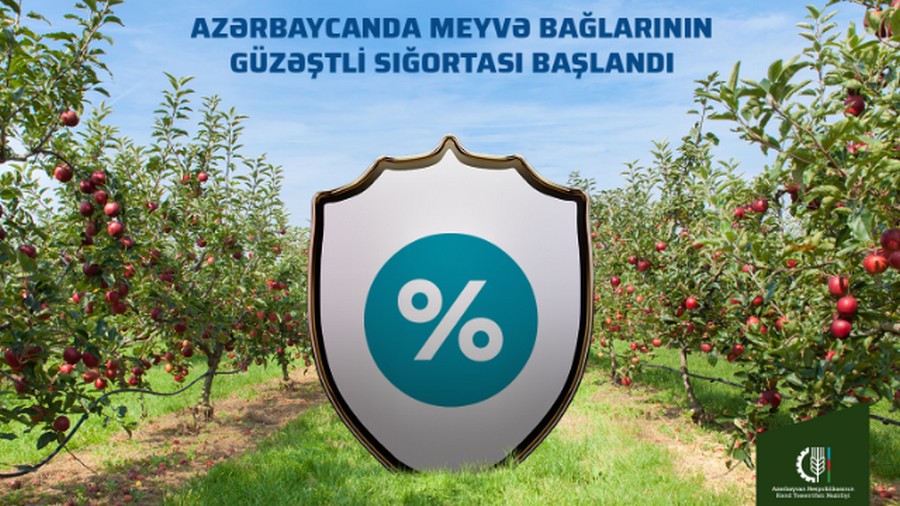 Azərbaycanda meyvə bağlarının güzəştli sığortasına başlanılıb
