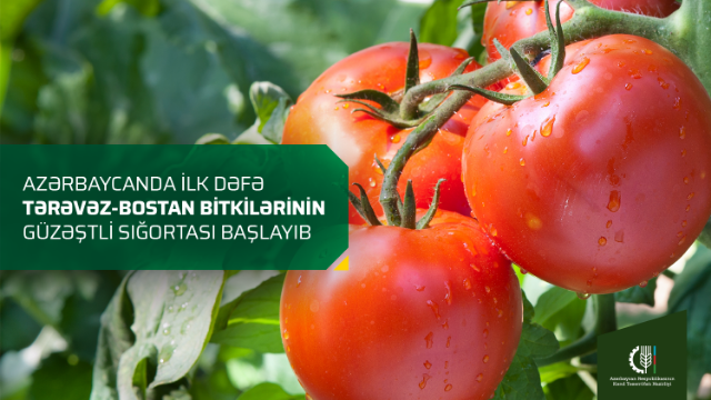 İlk dəfə bu bitkilərin güzəştli sığortası başlayıb