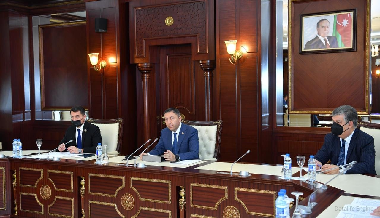 Milli Məclisin komitəsi hesabat verir