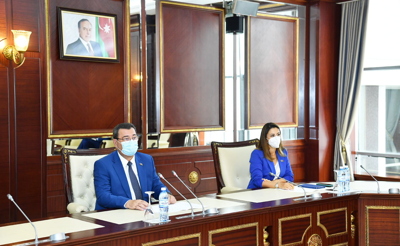 Milli Məclis və Aİ arasında iş planı HAZIRLANIR