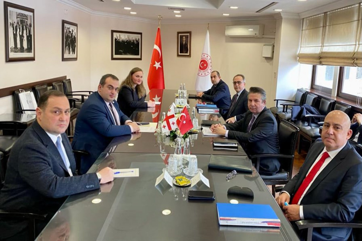Türkiyə və Gürcüstan arasında NATO müzakirəsi