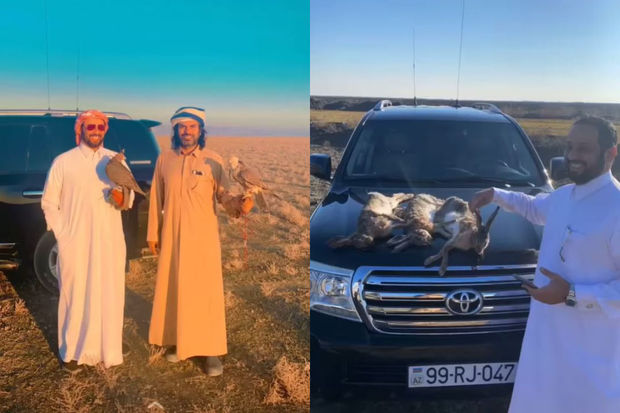 Ərəblərin Azərbaycanda ova çıxması ARAŞDIRILIR