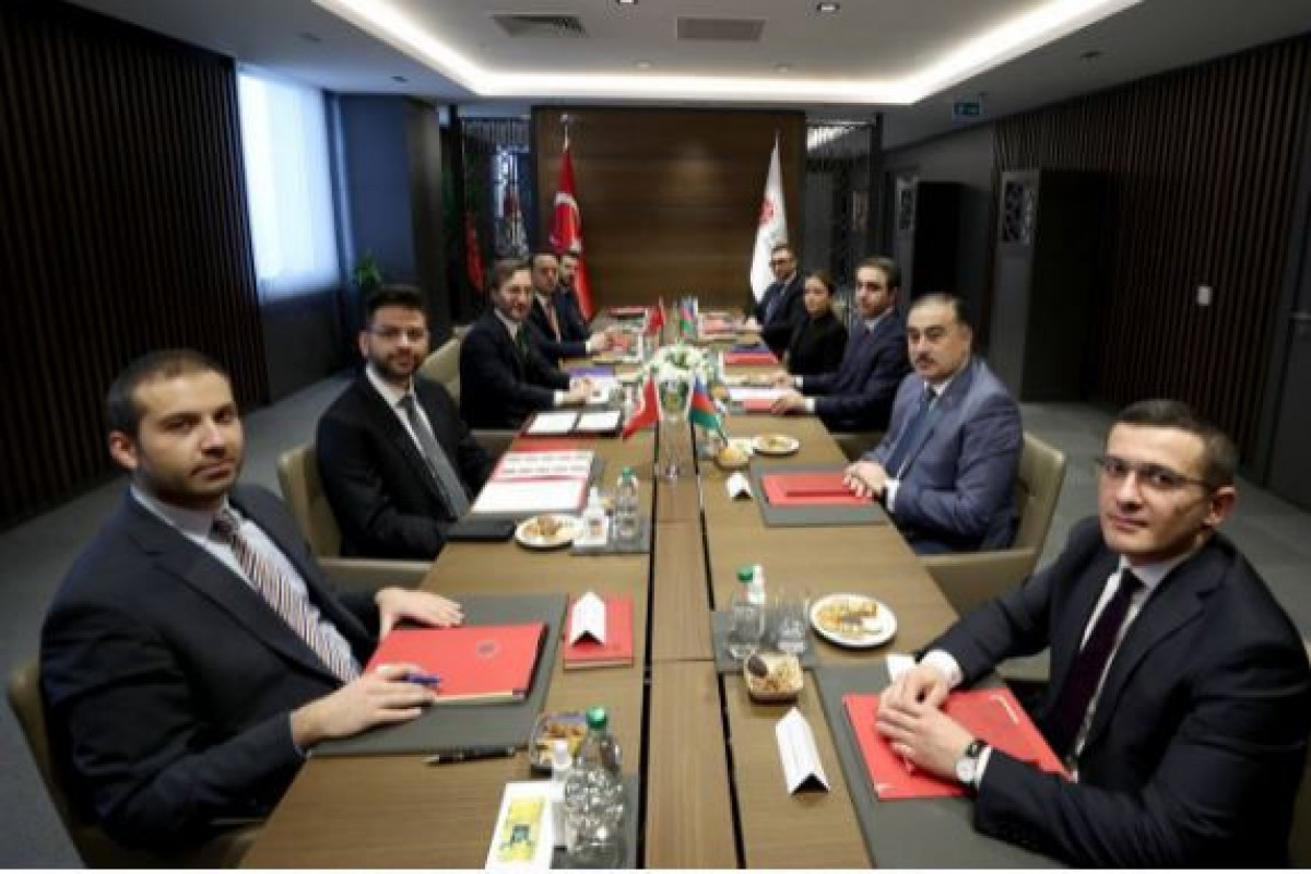 Fəxrəddin Altun Azərbaycan rəsmiləri ilə görüşdü
