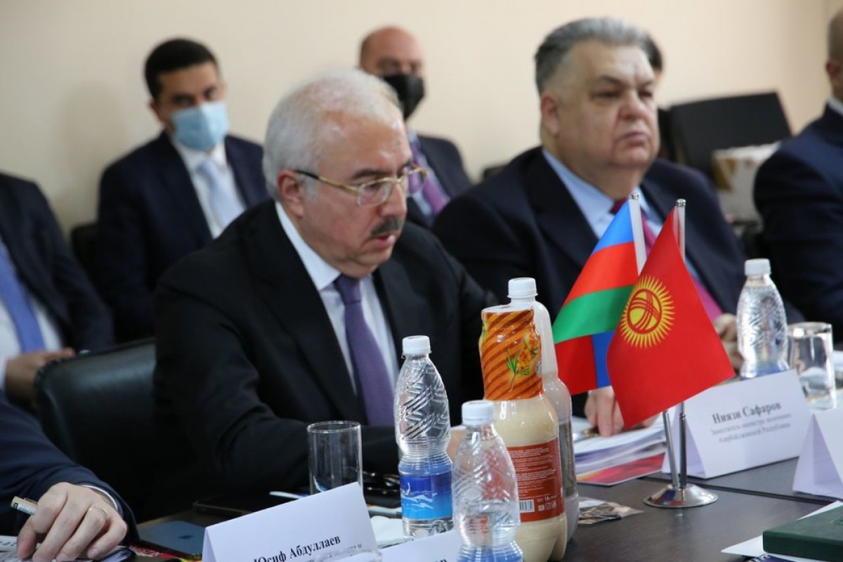 Azərbaycan və Qırğızıstan investisiya qoyuluşunu təşviq edəcək