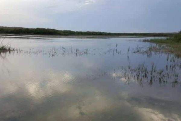 Qoruğun mühafizə rejimini pozanlar cəzalandırıldı