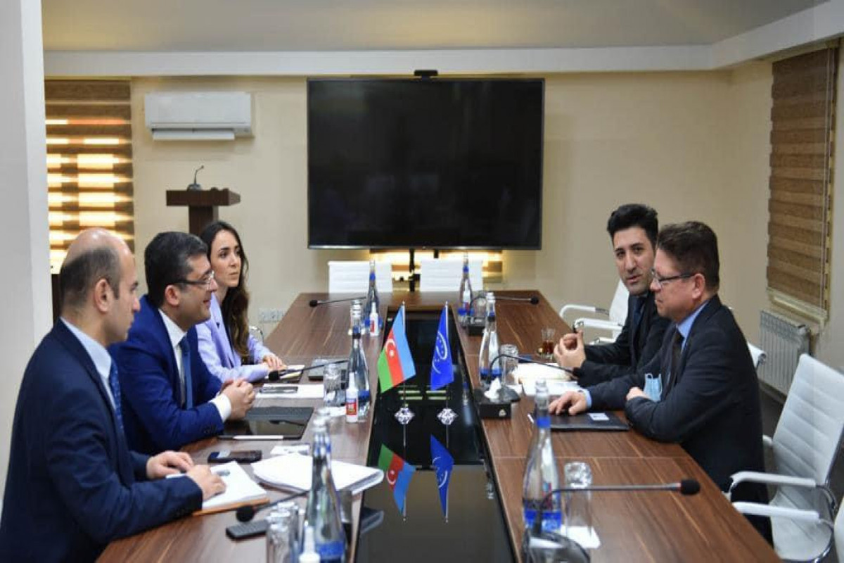 Avropa Şurasının Bakı ofisinin rəhbəri MEDİA-da