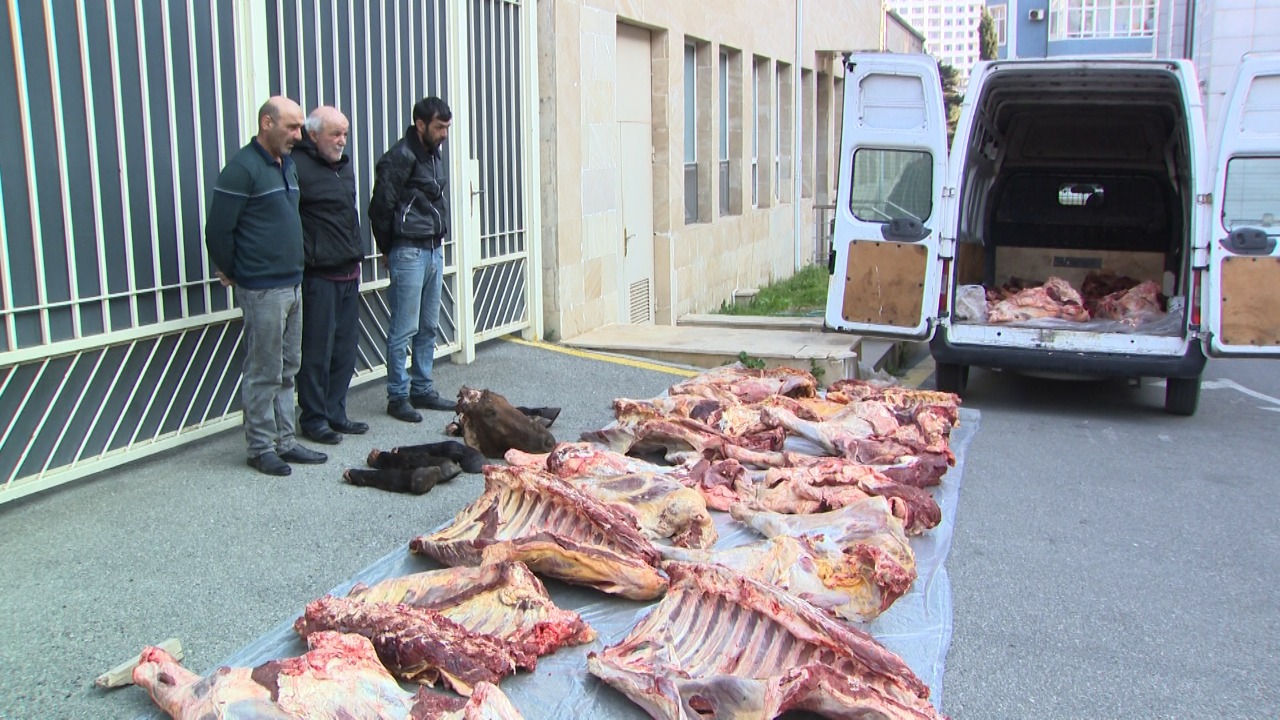 4 ton ölmüş at və mal əti satanlar TUTULDU - VİDEO