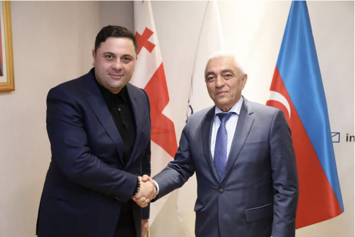 Gürcüstanla enerji əməkdaşlığı müzakirə edildi