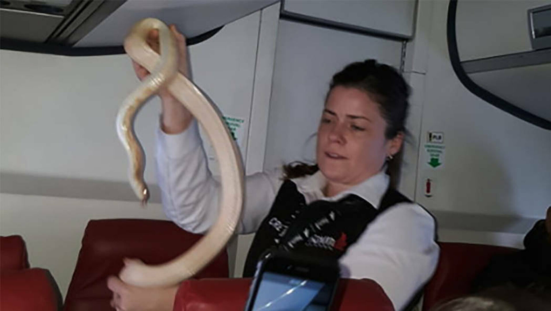İlan təyyardəkilərə qorxulu anlar YAŞATDI