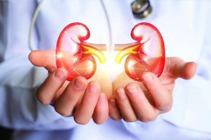 Böyrək transplantasiyasında növbələr var - Komitə sədri