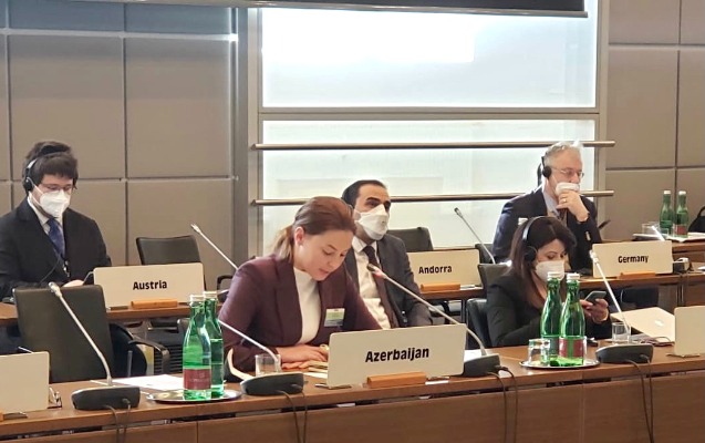 Nazirliyin şöbə müdiri ATƏT-in Forumunda çıxış edib