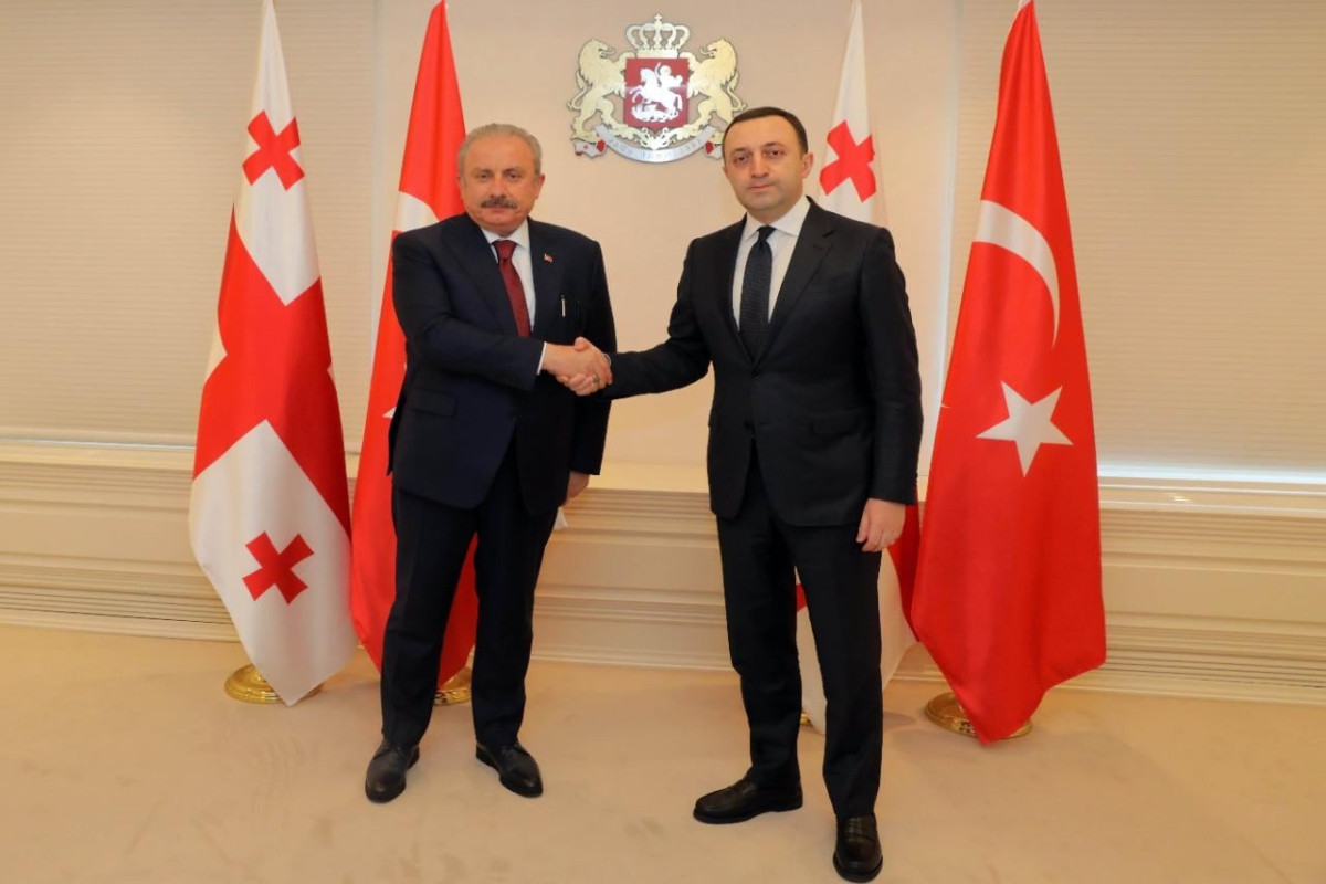 Şentop Qaribaşvili ilə görüşdü