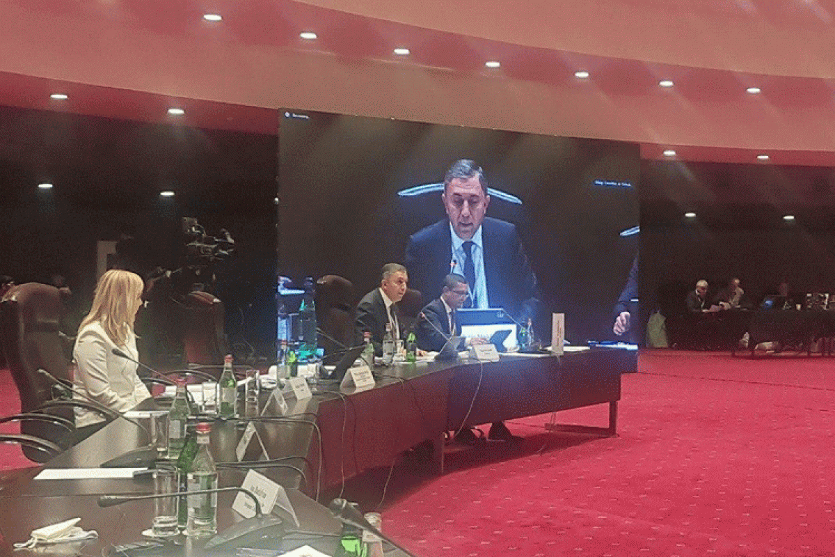 Azərbaycanlı deputat İrəvanda yenidən sədr seçildi