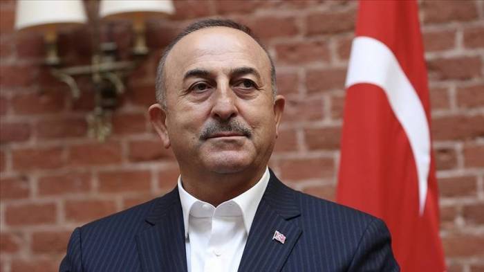 Putin Ankarada Zelenski ilə görüşəcək? - Çavuşoğludan açıqlama