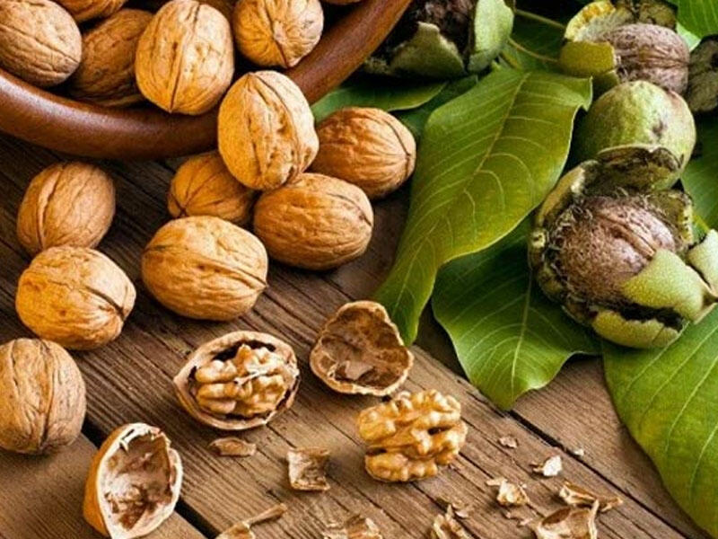 Qoz qabığının orqanizmə FAYDALARI