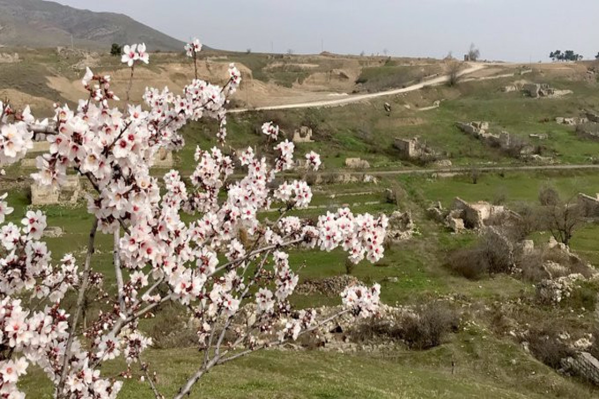 Britaniya səfiri Cəbrayıldan paylaşım etdi