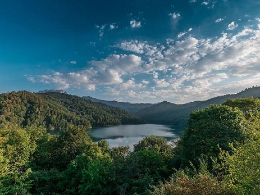 Qarabağda yeni qoruqlar yaradılacaq