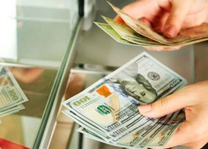 Rusiya Mərkəzi Bankı köçürmələrə limit qoydu
