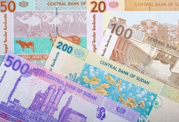 Sudanın maliyyə sistemi çökdü