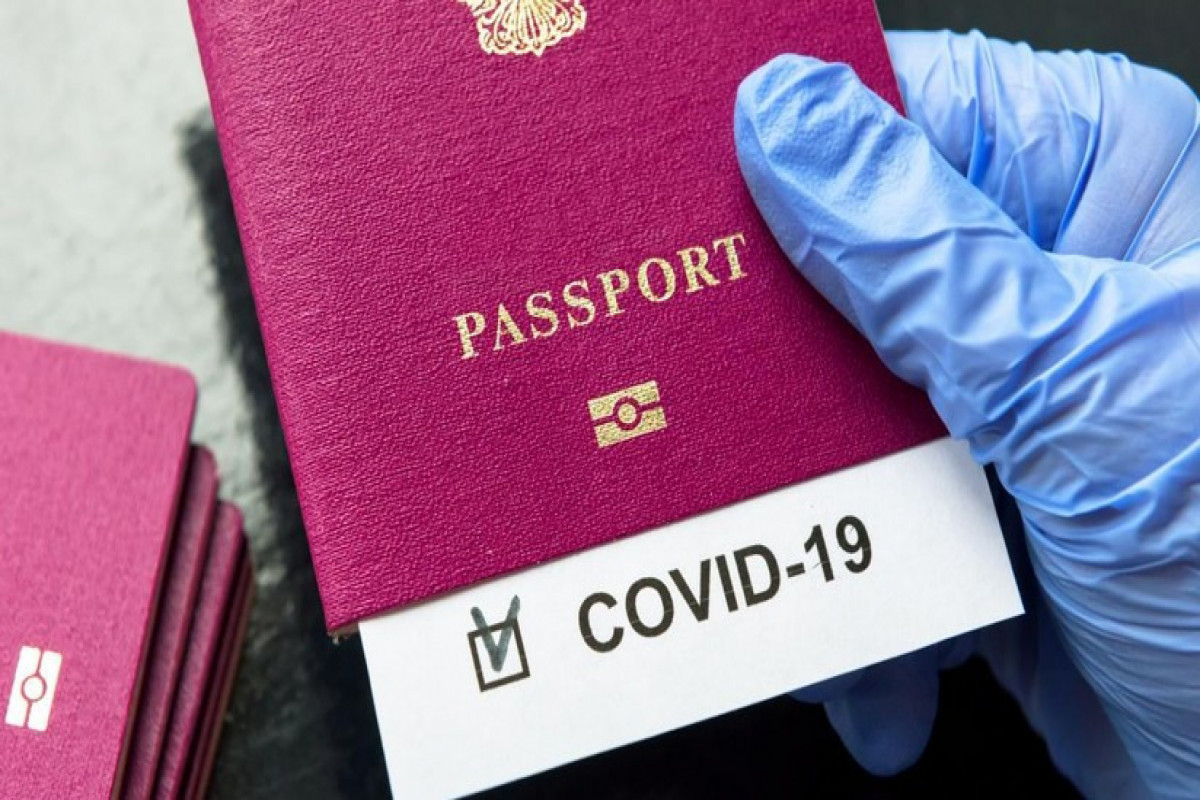 Saxta COVID pasportuna görə 35 cinayət işi açılıb